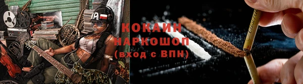 spice Богородск