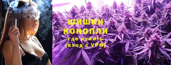 spice Богородск