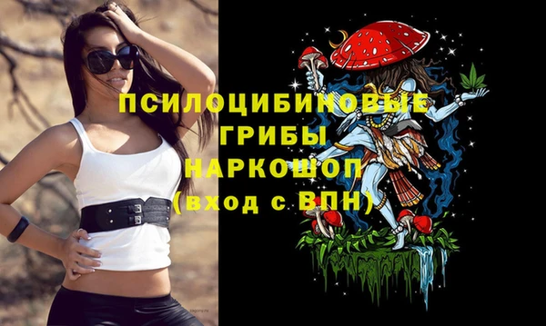 spice Богородск