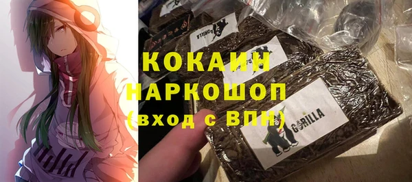 spice Богородск