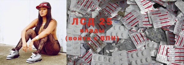 спиды Богородицк