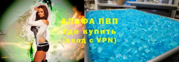 спиды Богородицк