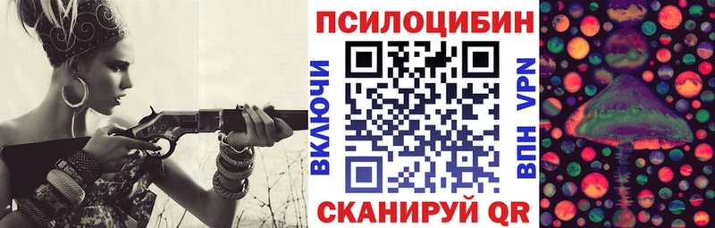 Псилоцибиновые грибы Psilocybe  Будённовск 